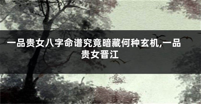 一品贵女八字命谱究竟暗藏何种玄机,一品贵女晋江