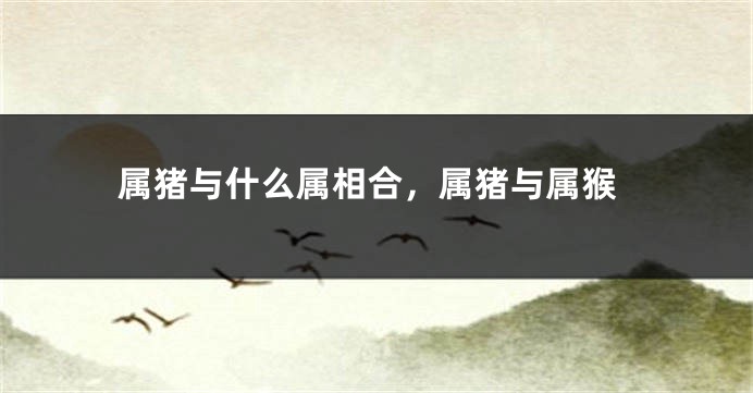 属猪与什么属相合，属猪与属猴