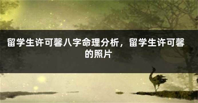 留学生许可馨八字命理分析，留学生许可馨的照片