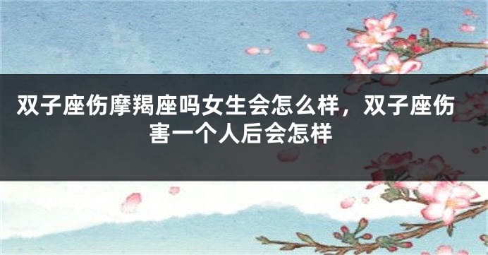 双子座伤摩羯座吗女生会怎么样，双子座伤害一个人后会怎样