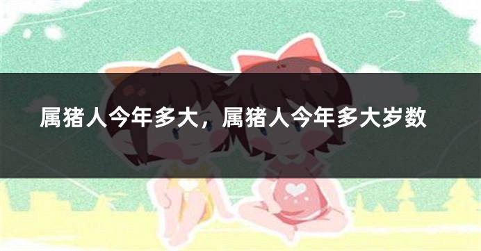 属猪人今年多大，属猪人今年多大岁数