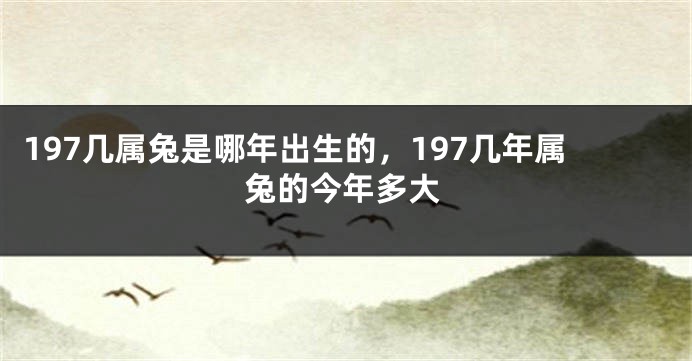 197几属兔是哪年出生的，197几年属兔的今年多大