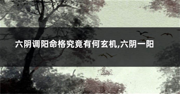 六阴调阳命格究竟有何玄机,六阴一阳