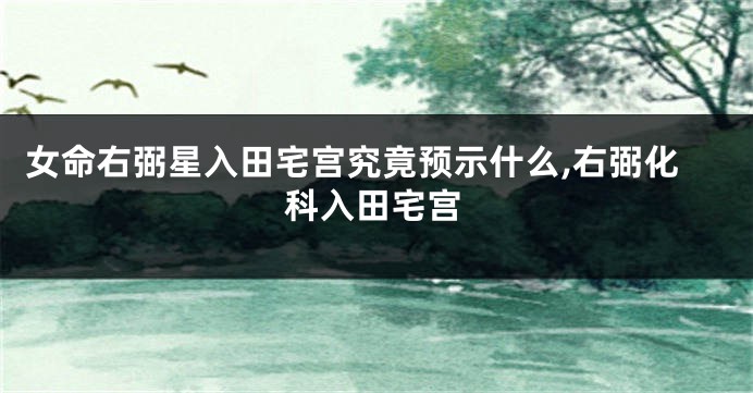 女命右弼星入田宅宫究竟预示什么,右弼化科入田宅宫