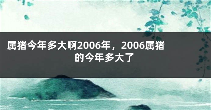 属猪今年多大啊2006年，2006属猪的今年多大了