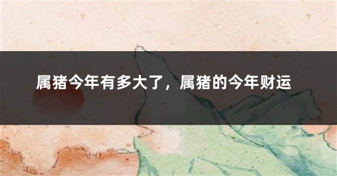 属猪今年有多大了，属猪的今年财运