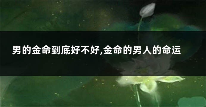 男的金命到底好不好,金命的男人的命运