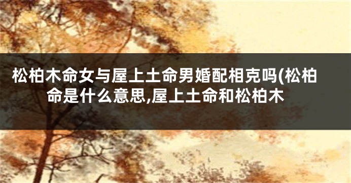 松柏木命女与屋上土命男婚配相克吗(松柏命是什么意思,屋上土命和松柏木