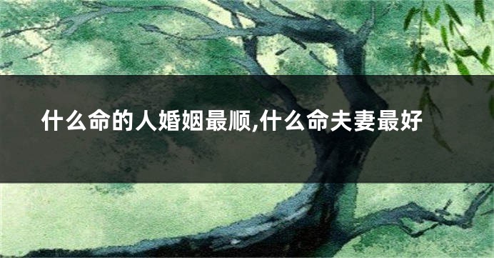 什么命的人婚姻最顺,什么命夫妻最好