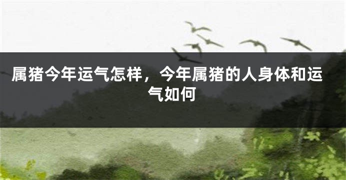 属猪今年运气怎样，今年属猪的人身体和运气如何