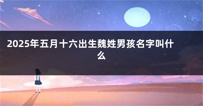 2025年五月十六出生魏姓男孩名字叫什么