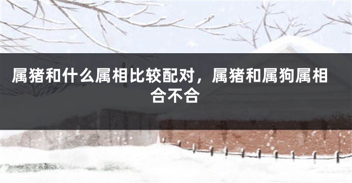 属猪和什么属相比较配对,属猪和属狗属相合不合