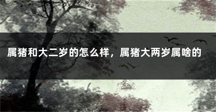 属猪和大二岁的怎么样，属猪大两岁属啥的