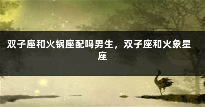 双子座和火锅座配吗男生，双子座和火象星座