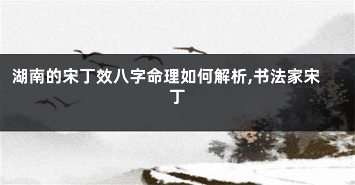 湖南的宋丁效八字命理如何解析,书法家宋丁