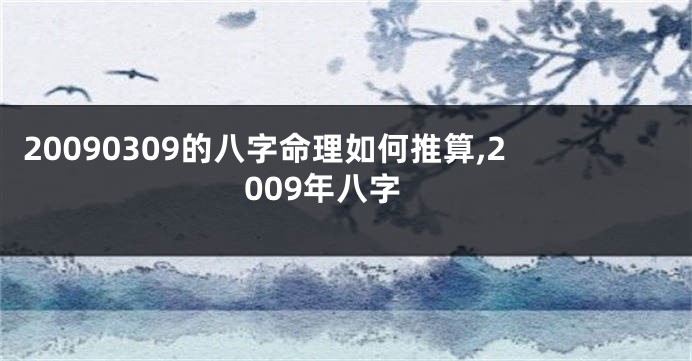 20090309的八字命理如何推算,2009年八字