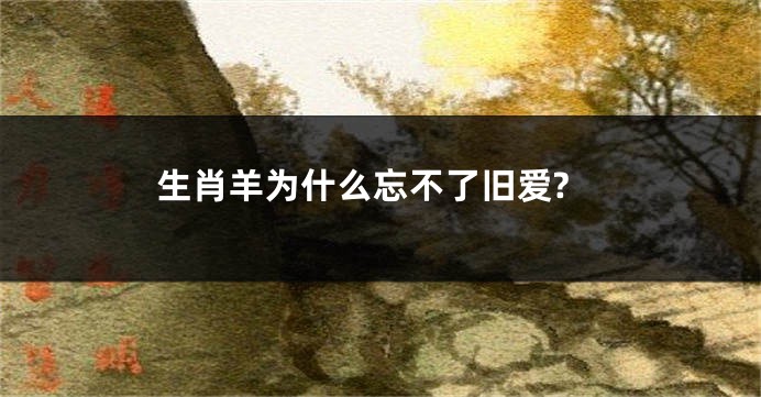 生肖羊为什么忘不了旧爱?