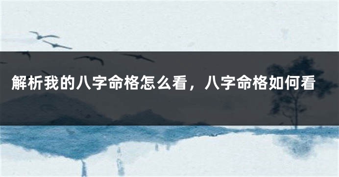 解析我的八字命格怎么看，八字命格如何看