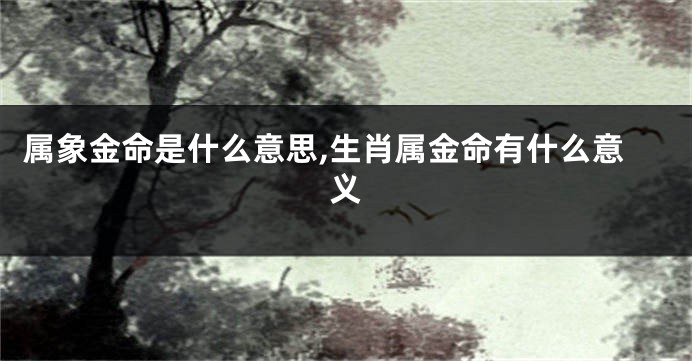 属象金命是什么意思,生肖属金命有什么意义