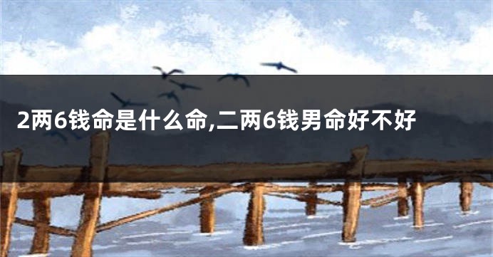 2两6钱命是什么命,二两6钱男命好不好