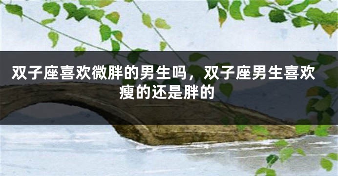 双子座喜欢微胖的男生吗，双子座男生喜欢瘦的还是胖的