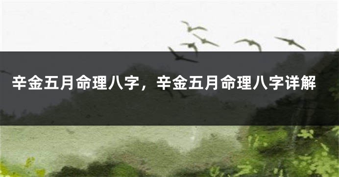 辛金五月命理八字，辛金五月命理八字详解