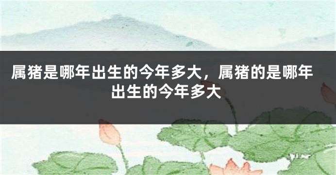 属猪是哪年出生的今年多大，属猪的是哪年出生的今年多大
