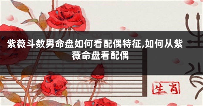 紫薇斗数男命盘如何看配偶特征,如何从紫薇命盘看配偶