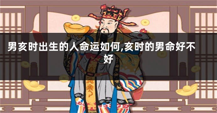 男亥时出生的人命运如何,亥时的男命好不好