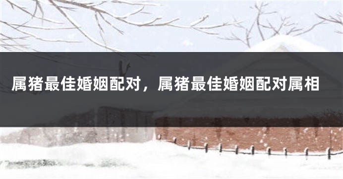 属猪最佳婚姻配对,属猪最佳婚姻配对属相