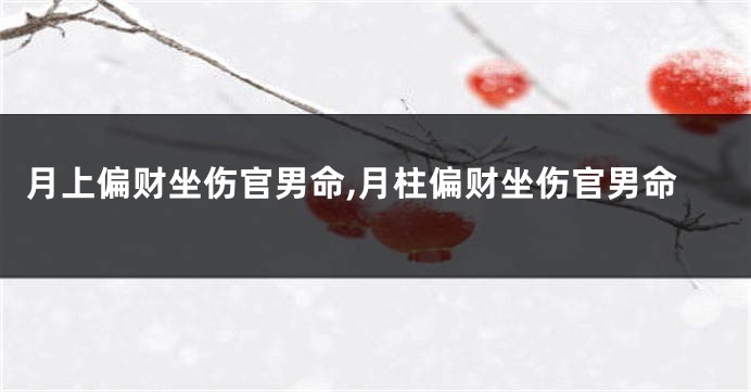 月上偏财坐伤官男命,月柱偏财坐伤官男命