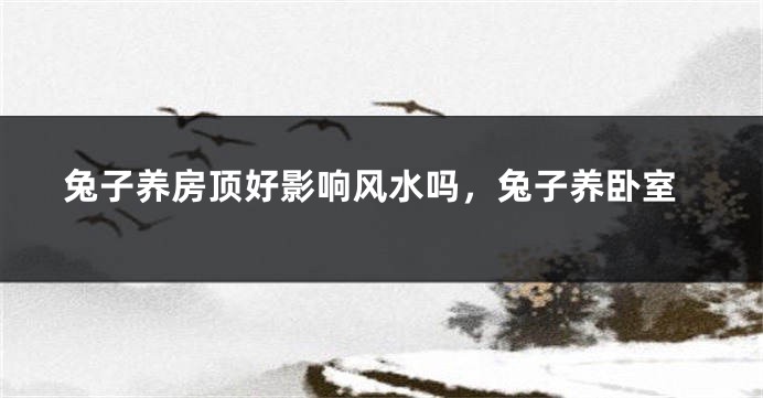 兔子养房顶好影响风水吗,兔子养卧室