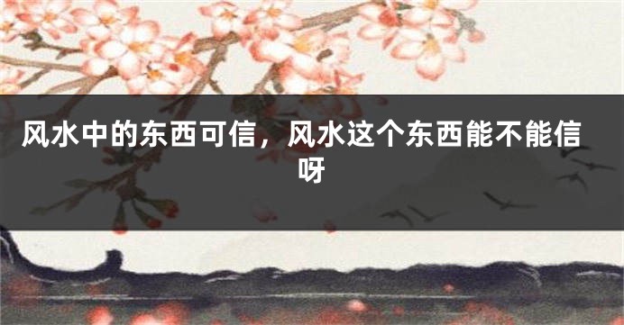 风水中的东西可信,风水这个东西能不能信呀
