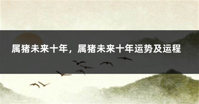 属猪未来十年，属猪未来十年运势及运程