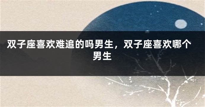 双子座喜欢难追的吗男生,双子座喜欢哪个男生