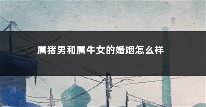 属猪男和属牛女的婚姻怎么样