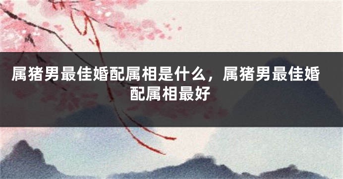 属猪男最佳婚配属相是什么，属猪男最佳婚配属相最好