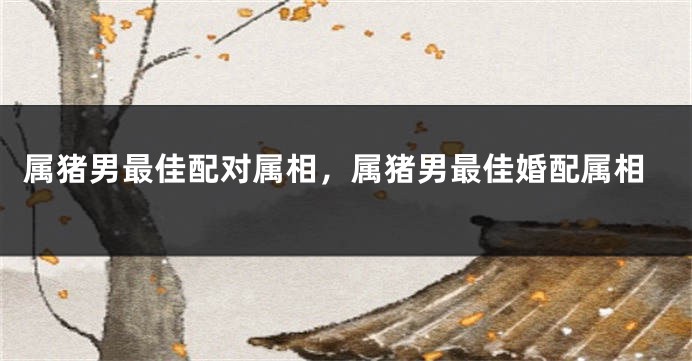 属猪男最佳配对属相，属猪男最佳婚配属相