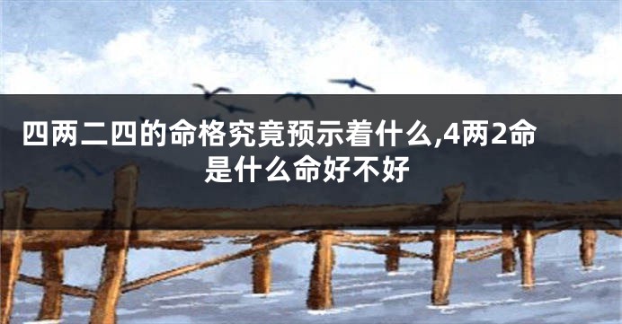 四两二四的命格究竟预示着什么,4两2命是什么命好不好