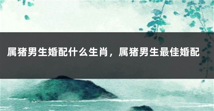 属猪男生婚配什么生肖，属猪男生最佳婚配