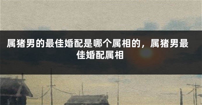 属猪男的最佳婚配是哪个属相的,属猪男最佳婚配属相
