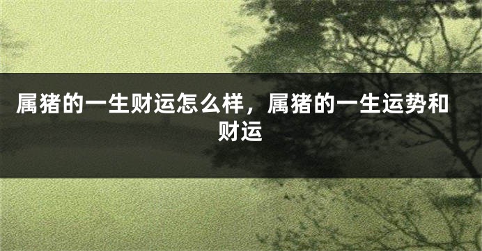 属猪的一生财运怎么样，属猪的一生运势和财运