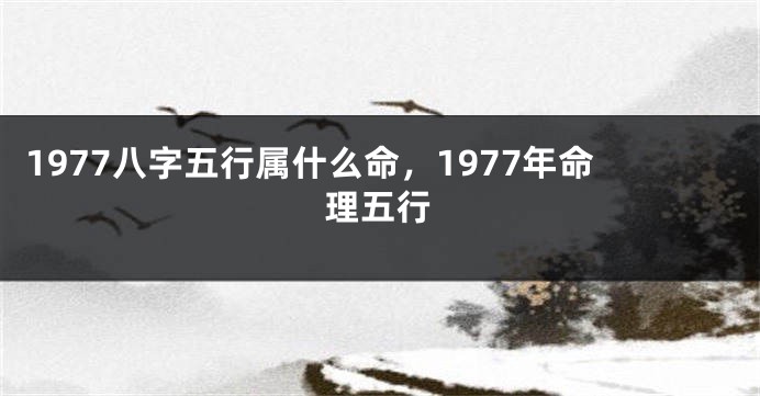 1977八字五行属什么命，1977年命理五行