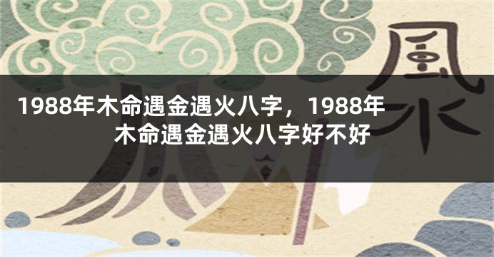 1988年木命遇金遇火八字，1988年木命遇金遇火八字好不好