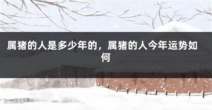 属猪的人是多少年的，属猪的人今年运势如何