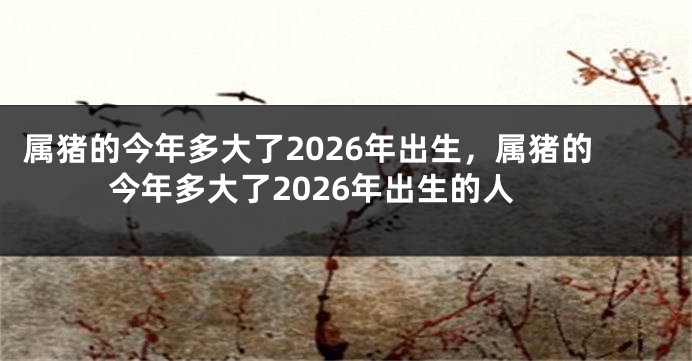 属猪的今年多大了2026年出生，属猪的今年多大了2026年出生的人