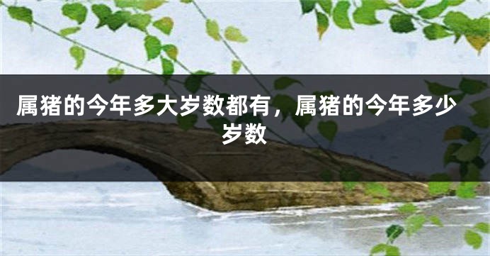 属猪的今年多大岁数都有，属猪的今年多少岁数