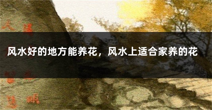 风水好的地方能养花,风水上适合家养的花