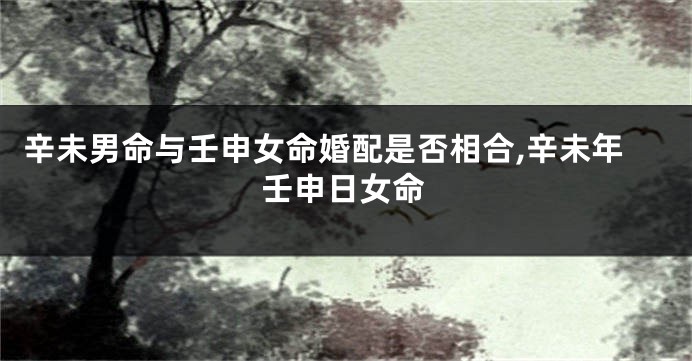 辛未男命与壬申女命婚配是否相合,辛未年壬申日女命