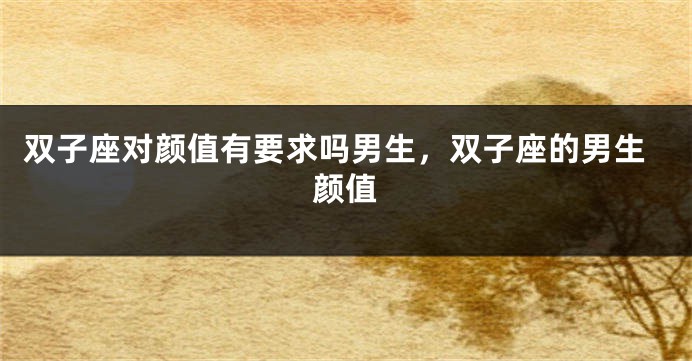 双子座对颜值有要求吗男生,双子座的男生颜值